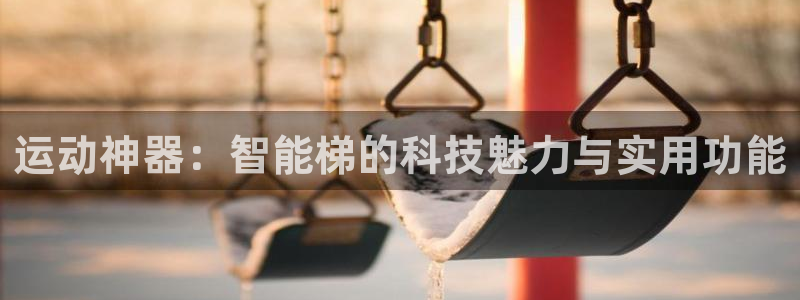 好博官方集团官网：运动神器：智能梯的科技魅力与实用功