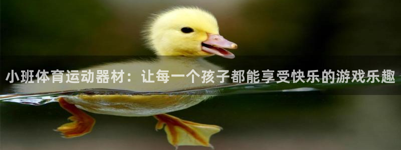 好博体育官方正版app五金厂：小班体育运动器材：让每