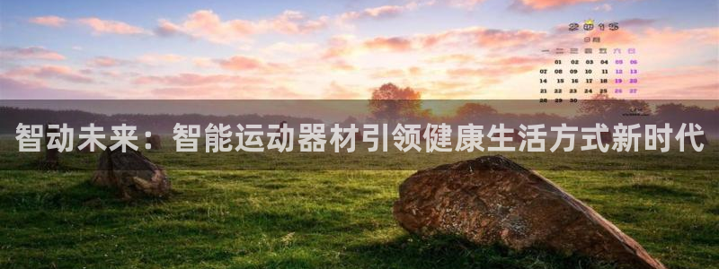 好博体育官网下载平台注册要钱吗：智动未来：智能运动器