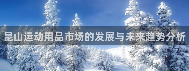 好博体育官方正版app娱乐下载：昆山运动用品市场的发展与未来