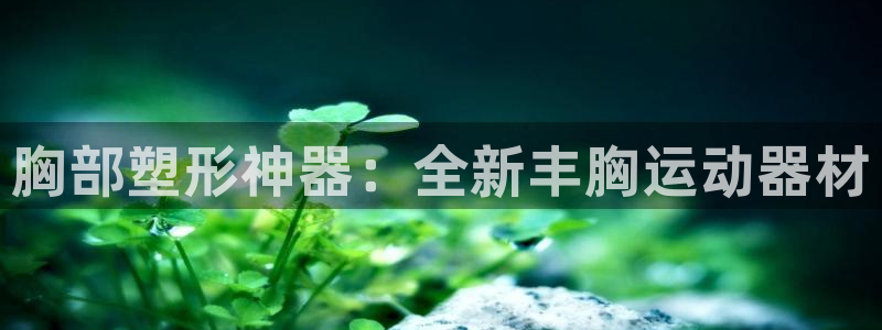 好博体育官方正版app集团：胸部塑形神器：全新丰胸运动器材