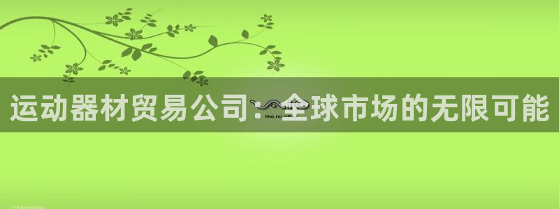 好博官方平台体育：运动器材贸易公司：全球市场的无限可
