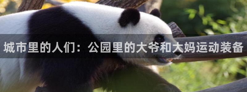 海南好博体育官网下载