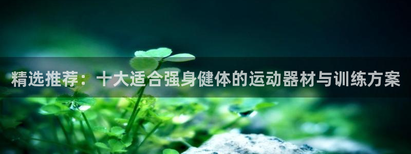 好博体育官方正版app娱乐40996：精选推荐：十大适合强身