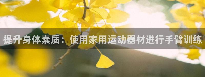 好博体育官方正版app新能源：提升身体素质：使用家用运动器材