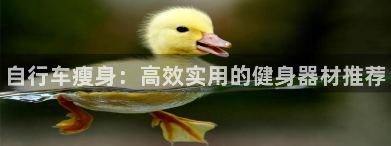 好博体育官网下载：自行车瘦身：高效实用的健身器材推荐