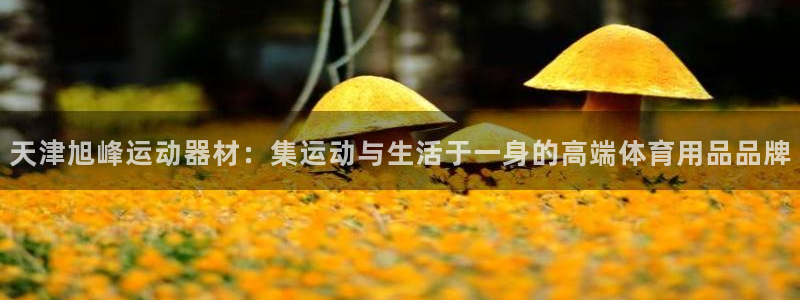 海南好博体育官网下载：天津旭峰运动器材：集运动与生活于一身的