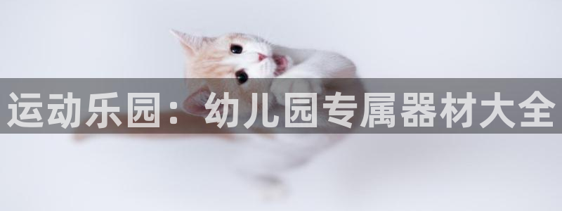 好博体育官方正版app娱乐下载：运动乐园：幼儿园专属器材大全