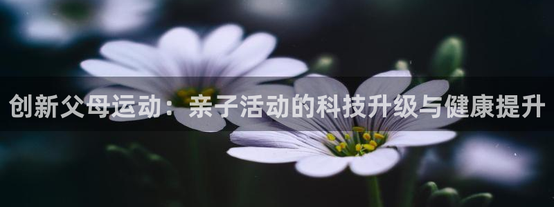 好博体育官方正版app娱乐下载