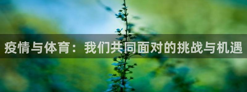 3377体育官网入口下载最新