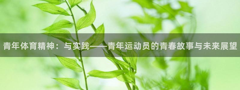 3377体育网页登录入口