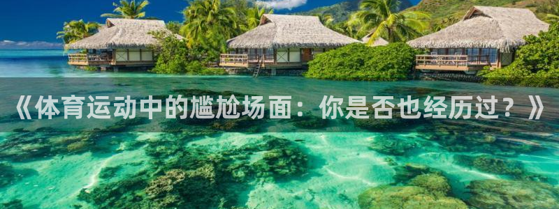 3377体育在线登录官网入口
