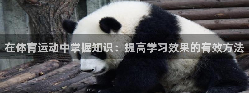 3377体育是正规的吗