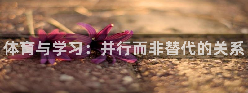 3377体育app登录入口