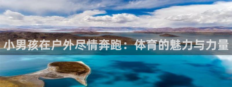 3377体育官网