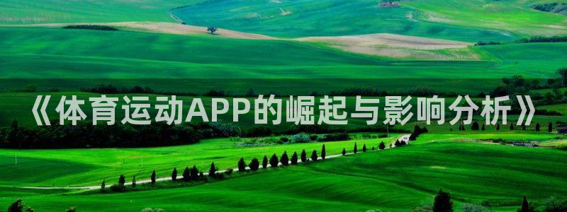 3377体育全网