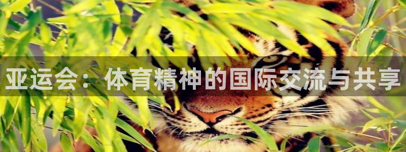 3377体育(中国)官方网站