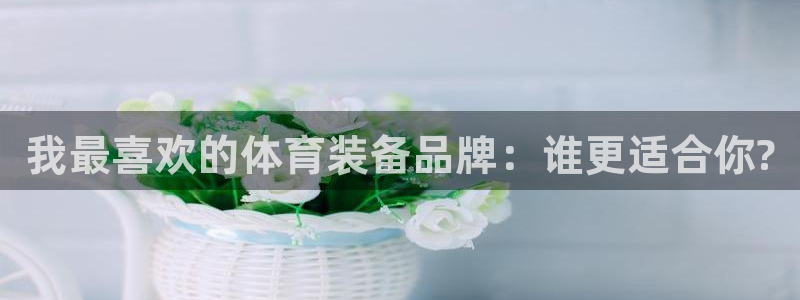 3377体育平台