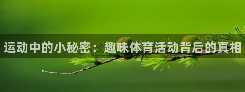 3377体育官网入口下载最新