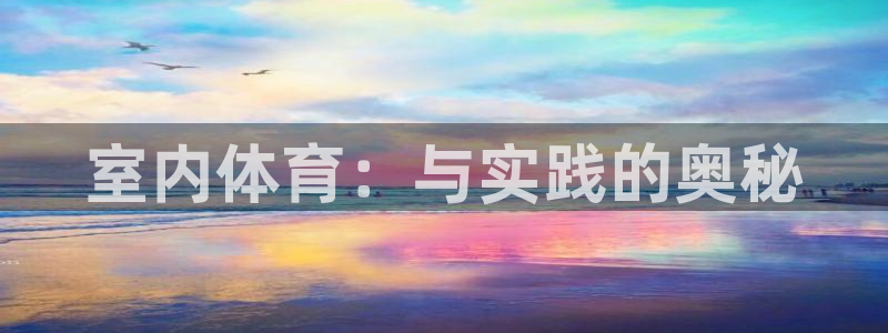 3377体育全网