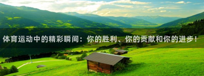 3377体育官网入口网页版