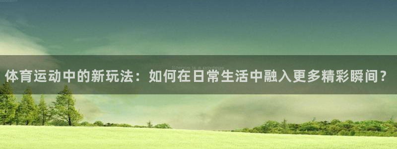 3377体育com