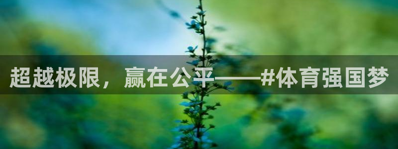 3377体育官网