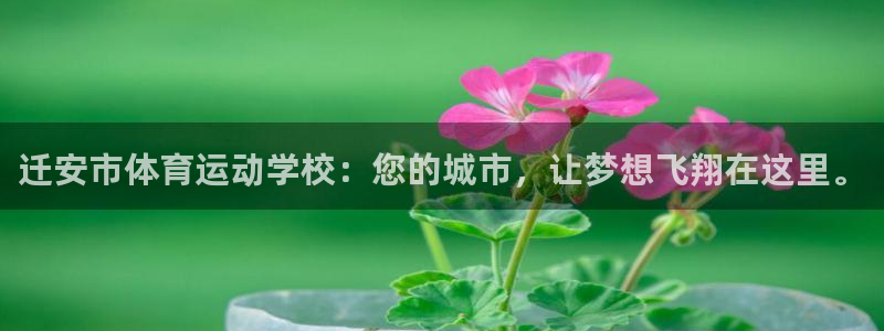 3377体育app官网下载地址