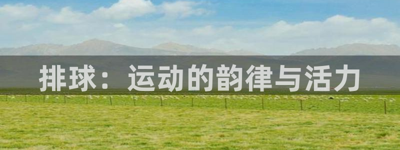 3377体育中国官方网站入口