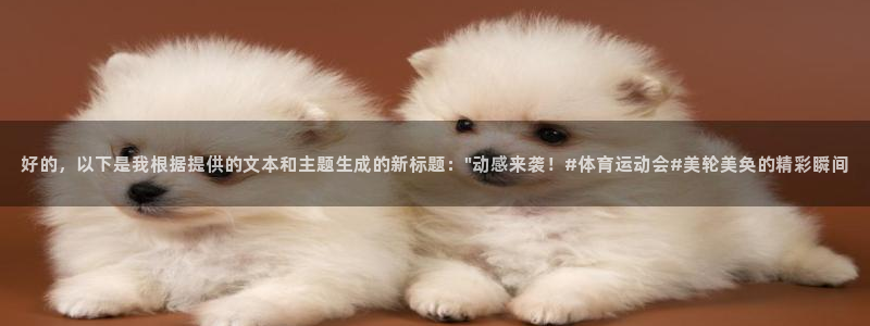 3377体育是正规的吗
