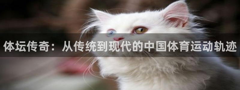 3377体育在线